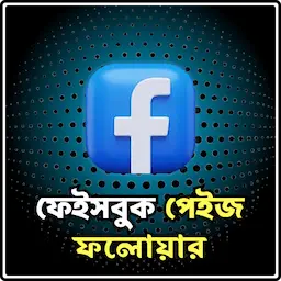 Facebook Page Like/Followers